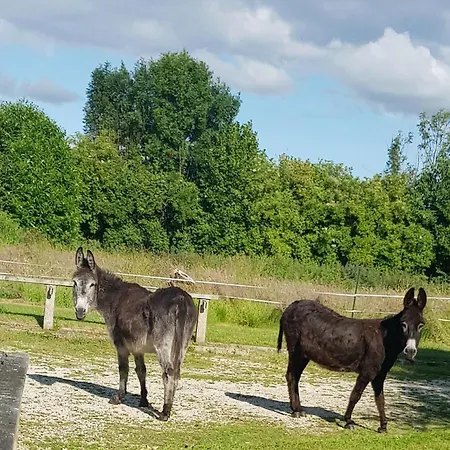 Apartman Du Domaine De La Petitiere Bonneville-la-Louvet