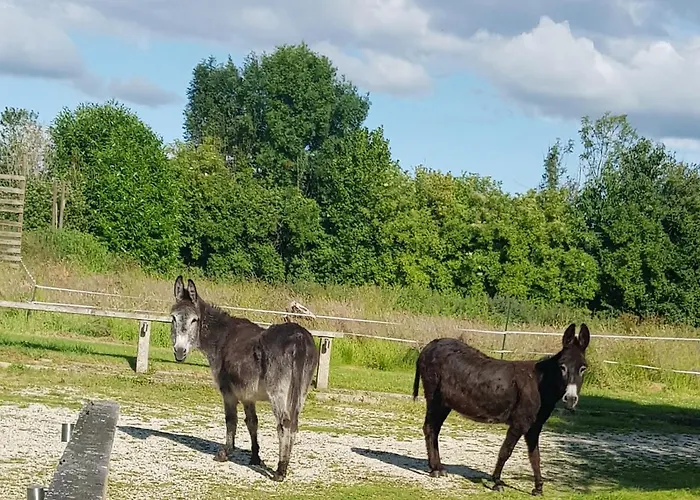 Lägenhet Du Domaine De La Petitiere Bonneville-la-Louvet